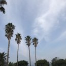 대박민박 이미지