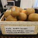 유노시엘 네이버블로그