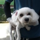 과원동로 이미지