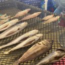 동해참전복 이미지