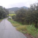 여주-1019 이미지