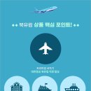 신세계항공여행사