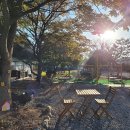 파주캠핑장 이미지