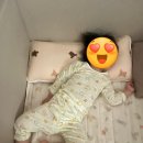 로베라 트램폴린(ST-500) 조립법 총정리! 초보 부모도 쉽게 따라해요