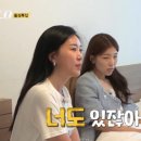 인스타 티스토리