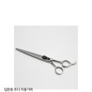 가위신현철쇼룸