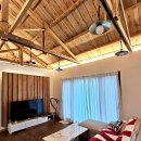 마이독스 이미지