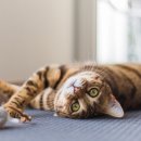 힘찬건강케어 이미지