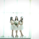 마인드엠