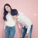 미스터포 이미지