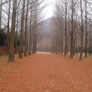 만경강길 1코스 이미지