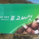 농산물주유소 이미지