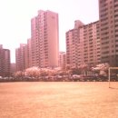 하탑초등학교 이미지