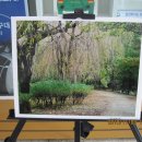 만안구청 이미지