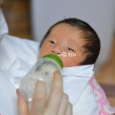 HMO분유 모유올리고당 2FL 함유 신생아분유, 앱솔루트명작 혼합수유방법 고민 끝!