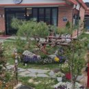 탑피자 벌교점 이미지