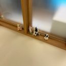 GS25 춘천우미린 | 원주 임산부요가 무실동 하루 필라테스&amp;요가