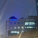 성원인쇄소 | 셀프 청첩장 제작｜미리캔버스로 디자인한 3단 청첩장 비용까지