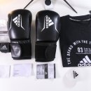 담쓰뮤직복싱 | 여름맞이 홈트레이닝은 복싱으로 시작해보자(feat.아디다스 복싱키트)