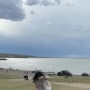 도도한댕댕 이미지