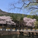 앞산공원 이미지