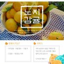 동백농장 이미지