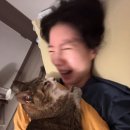구름이 이미지