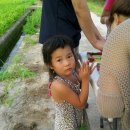 청풍한옥민박 이미지