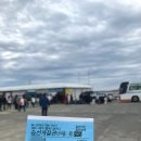 가파 | 가파도 청보리 축제 후기 (부성식당)