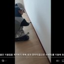 몰딩 페인팅 이미지