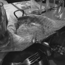 테라비어(창원NC파크점) 이미지