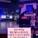 롤킹롤러스케이트 네이버블로그