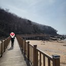 ㈜무의까치놀섬마을 | [2024 걷는 즐거움] 봄, 바다 위를 걷다 - 무의도 트레킹 둘레길(03.17)