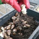 서희농장 이미지