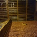 24시여성전용찜질방 | 겨울에 더 좋은 신사동 스파레이 서울 강남 24시 여성전용 찜질방 사우나