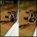 경복초등학교 이미지