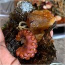 황금덕장(경주불국사점) 이미지