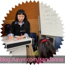 원중초등학교 | 샌드아트 샌드안나작가★고양 원중초등학교 재공연후기!