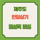 동항카자동차종합병원 | 5060세대를 위한 제주도 한달살기 현실적 조언