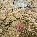 능북초등학교 이미지