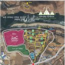 평화강변수목캠핑장 이미지