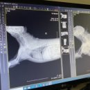 제이동물병원 이미지