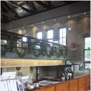 조치원문화정원 카페 앞 | 세종시 비건베이커리 추천! 조치원정수장 ‘커넥트윗’ 조치원문화정원 대형카페 방문기