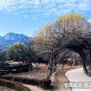 수락산만남의광장 이미지