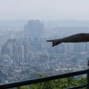 부동산 - 동구 송라로3길 5 | 부동산