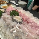 잡어와 묵은지 | [서울 맛집] 잡어와 묵은지, 내돈내산 솔직 후기, 식객, 강남 회식 추천
