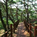 해변의 바람 이미지