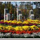 평화공원내 이미지