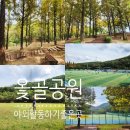 옻골공원 이미지