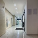 터디자인